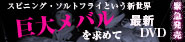 メバルDVD